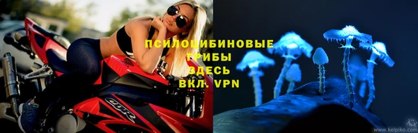 ешки Зеленодольск