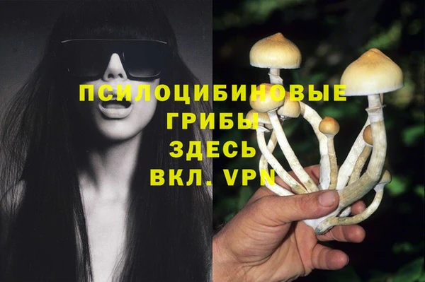 ешки Зеленодольск