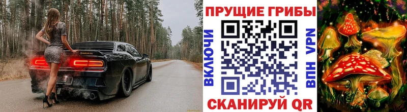Псилоцибиновые грибы ЛСД  наркотики  кракен рабочий сайт  Ивантеевка 